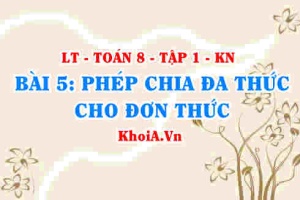 Cách chia đa thức cho đơn thức, đơn thức cho đơn thức? Ví dụ? Toán 8 bài 5 kn1c1b5